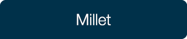 Millet