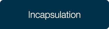 Incapsulation