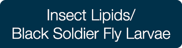 Insect Lipids/ Black Soldier Fly Larvae