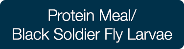 Protein Meal/ Black Soldier Fly Larvae