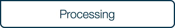 Processing