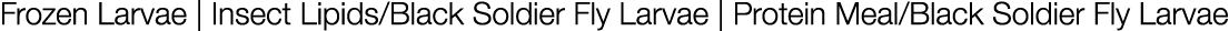 Frozen Larvae | Insect Lipids/Black Soldier Fly Larvae | Protein Meal/Black Soldier Fly Larvae