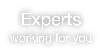 Experts working for you